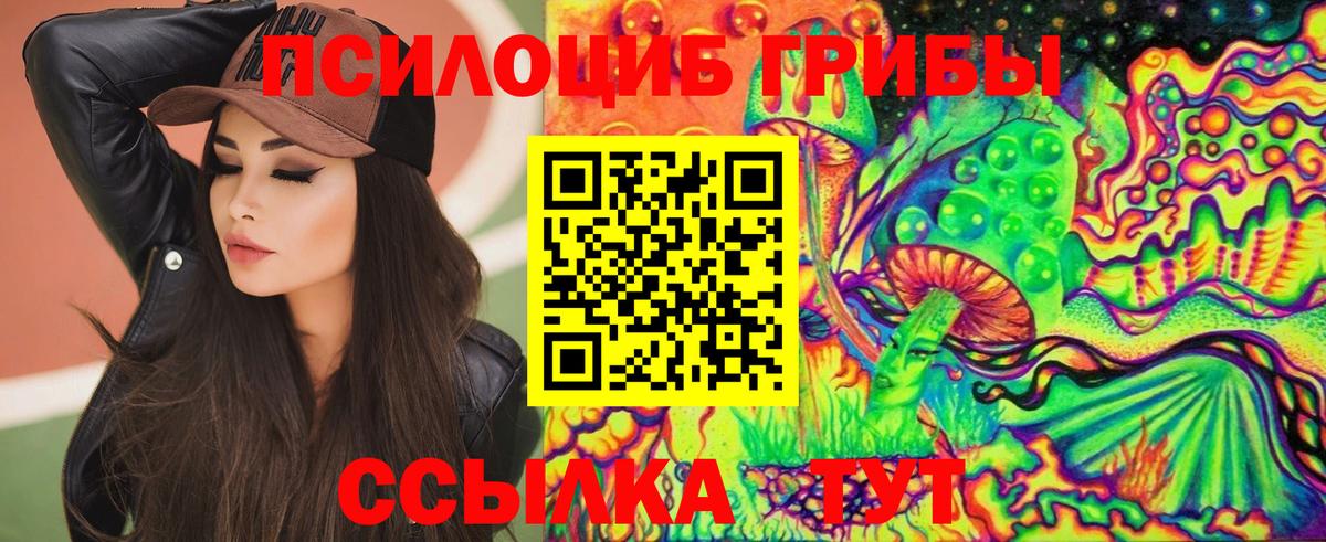 Псилоцибиновые грибы Psilocybine cubensis  Псилоцибиновые грибы ЛСД  Вход с VPN  Славянск-на-Кубани 